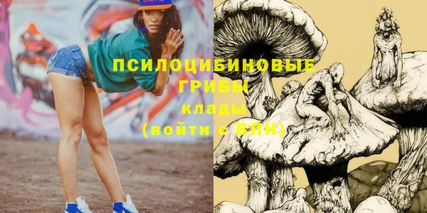 mdpv Алексеевка