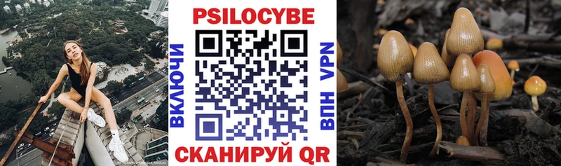 Галлюциногенные грибы прущие грибы  Ухта 